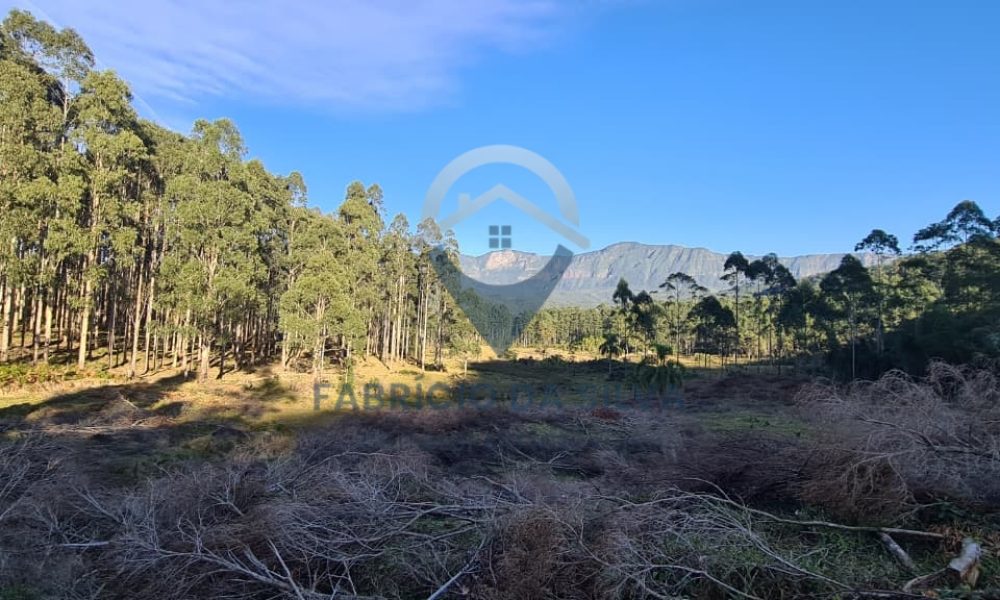 WhatsApp Image 2026-02-04 at 10.50.52 (1)