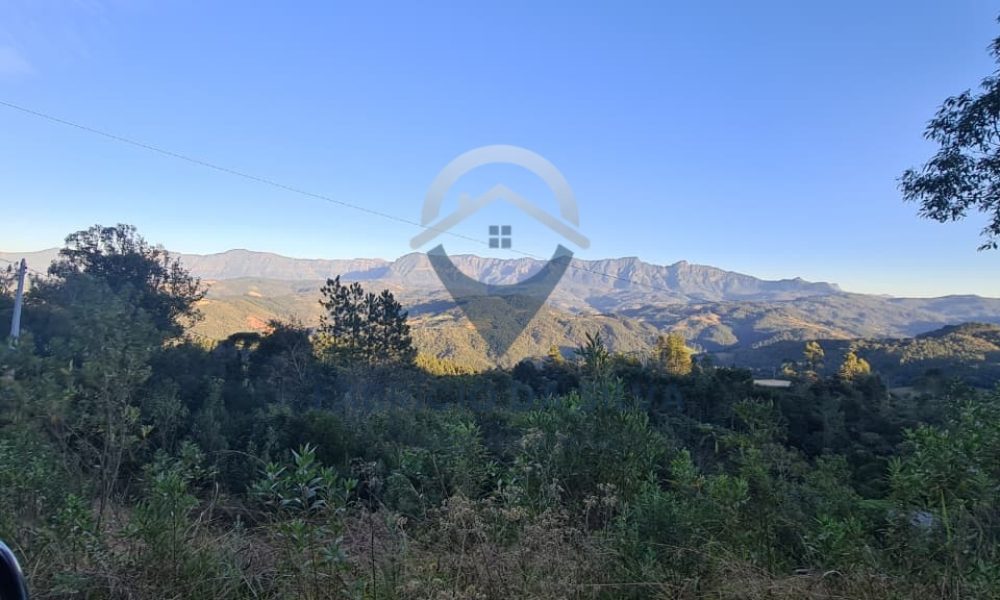 WhatsApp Image 2026-02-04 at 10.50.52 (3)