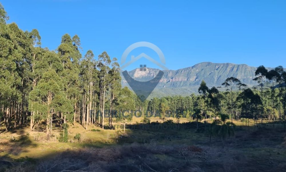 WhatsApp Image 2026-02-04 at 10.50.52