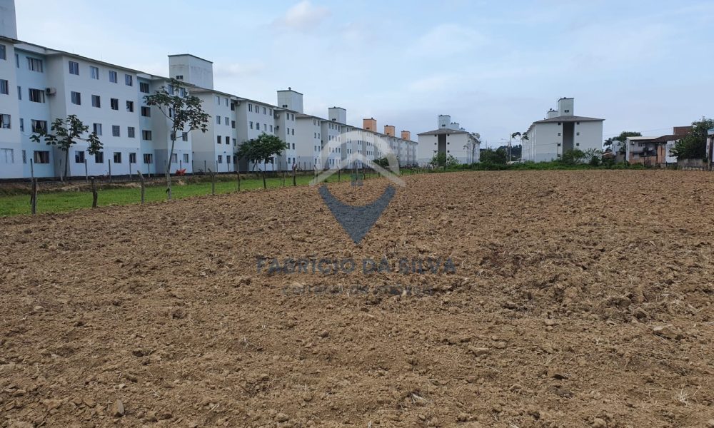 WhatsApp Image 2026-02-05 at 09.37.00