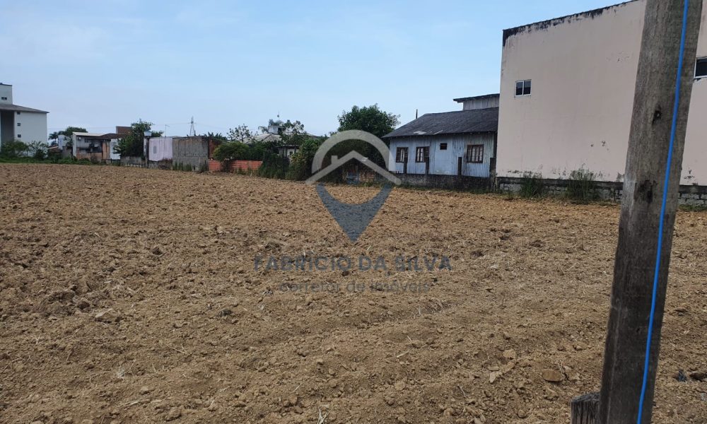 WhatsApp Image 2026-02-05 at 09.37.01