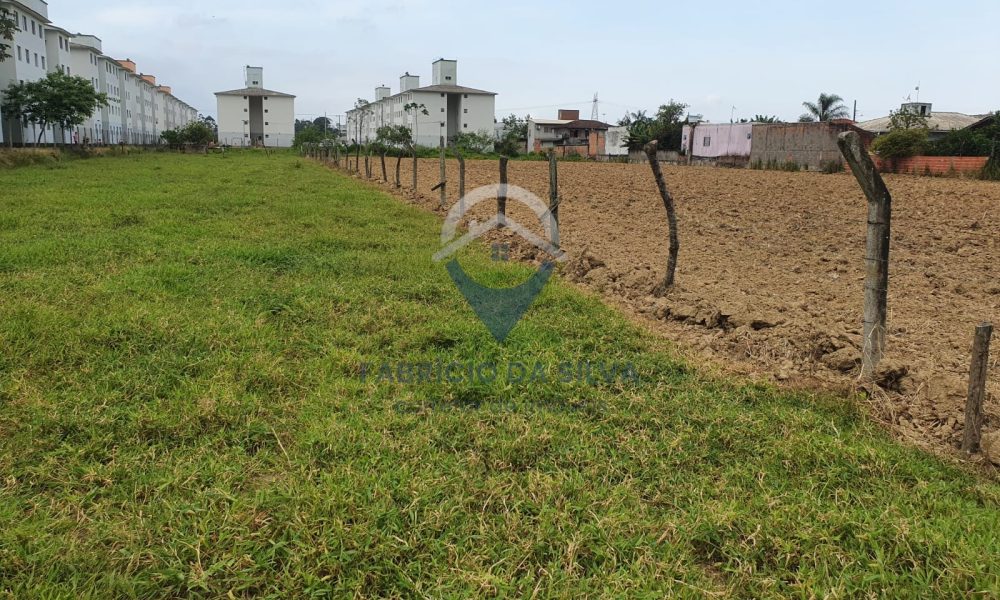 WhatsApp Image 2026-02-05 at 09.37.02