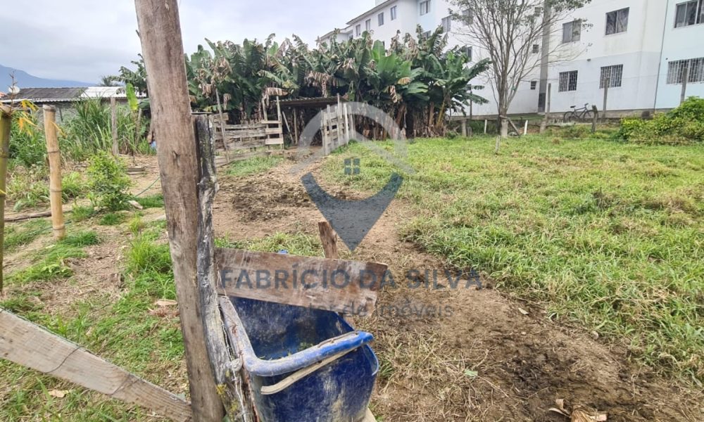 WhatsApp Image 2026-02-05 at 09.37.04 (1)