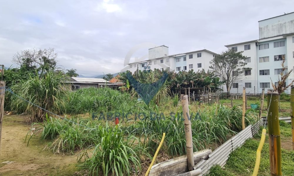 WhatsApp Image 2026-02-05 at 09.37.04