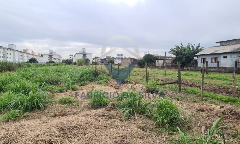 WhatsApp Image 2026-02-05 at 09.37.05 (1)