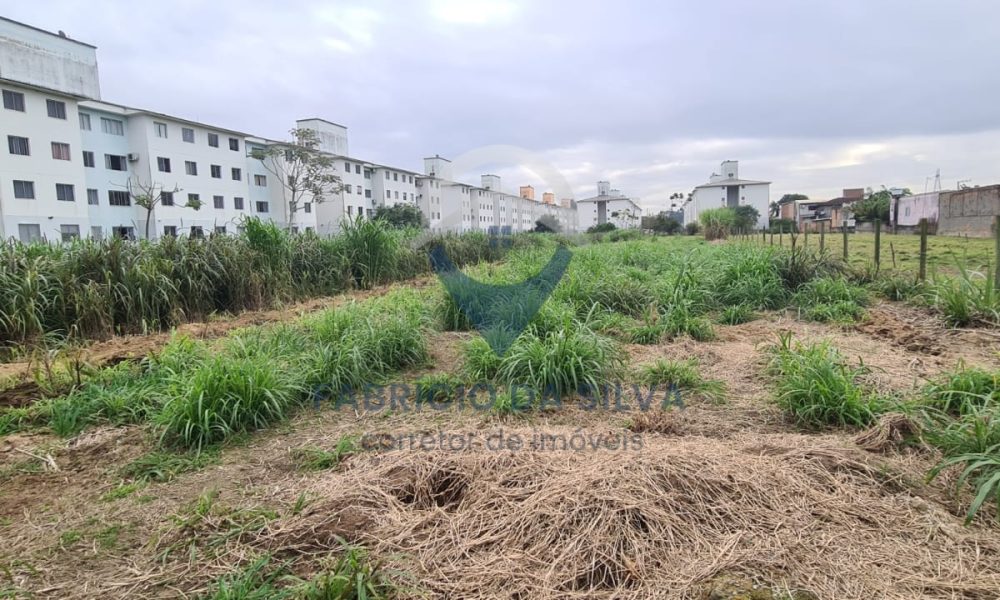 WhatsApp Image 2026-02-05 at 09.37.05 (2)