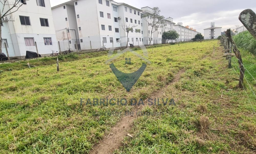 WhatsApp Image 2026-02-05 at 09.37.06