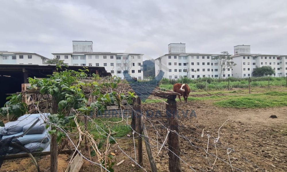 WhatsApp Image 2026-02-05 at 09.37.07 (1)