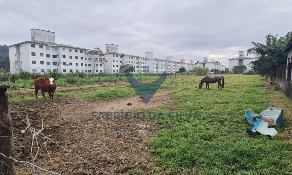 WhatsApp Image 2026-02-05 at 09.37.07