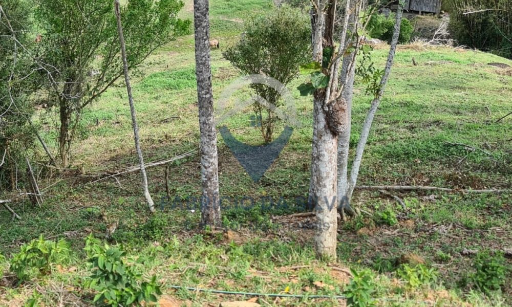 WhatsApp Image 2026-02-05 at 10.12.57