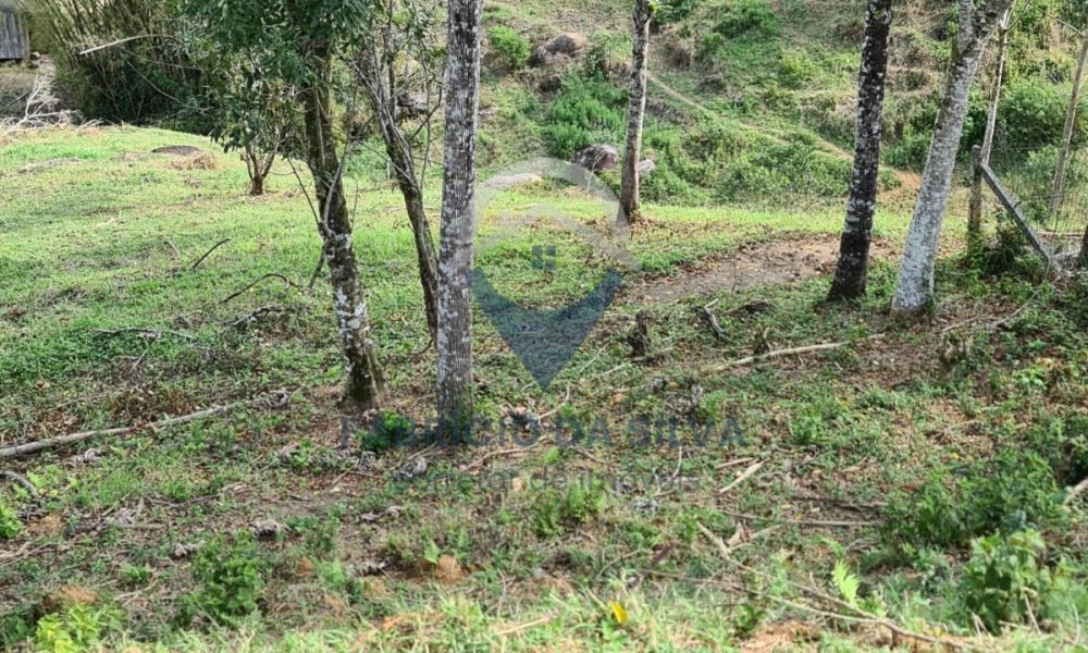 WhatsApp Image 2026-02-05 at 10.12.58