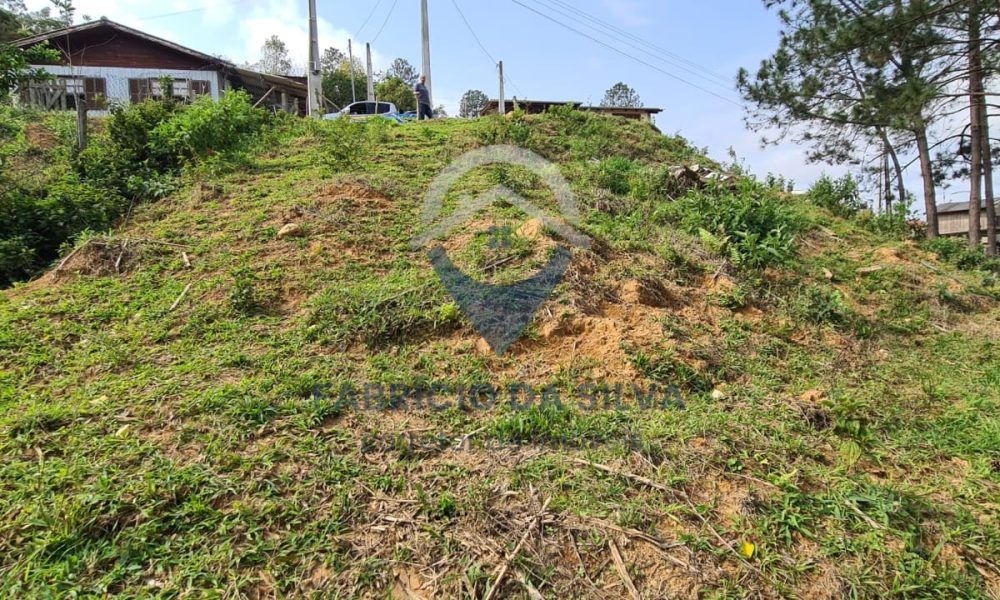 WhatsApp Image 2026-02-05 at 10.12.59 (1)