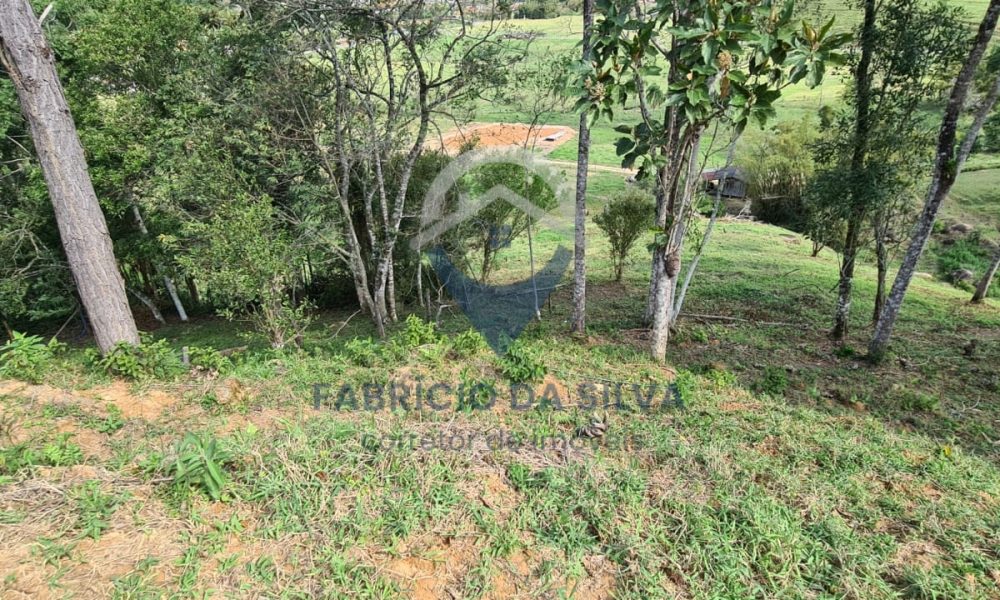 WhatsApp Image 2026-02-05 at 10.12.59