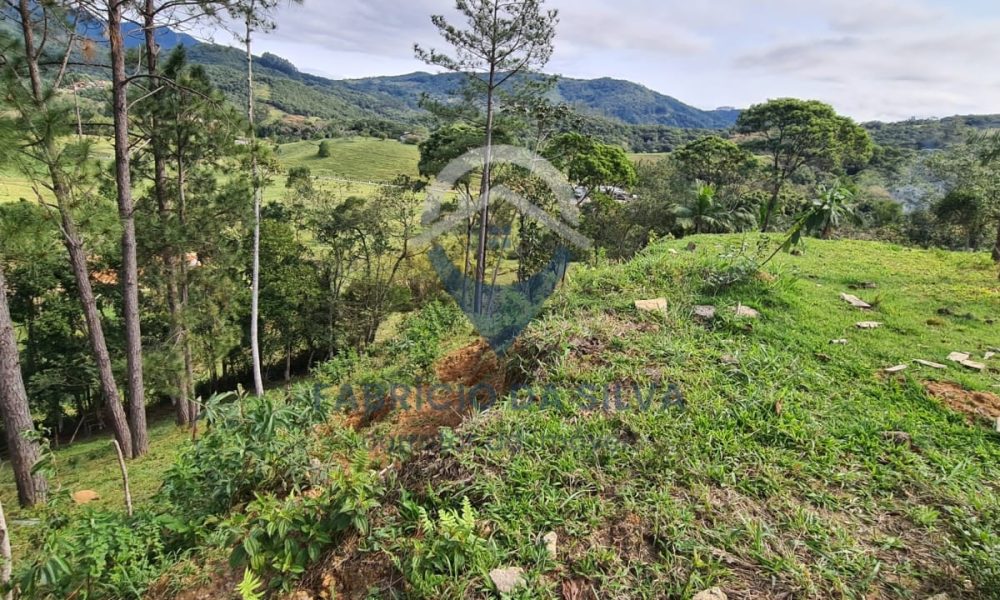 WhatsApp Image 2026-02-05 at 10.13.01 (1)