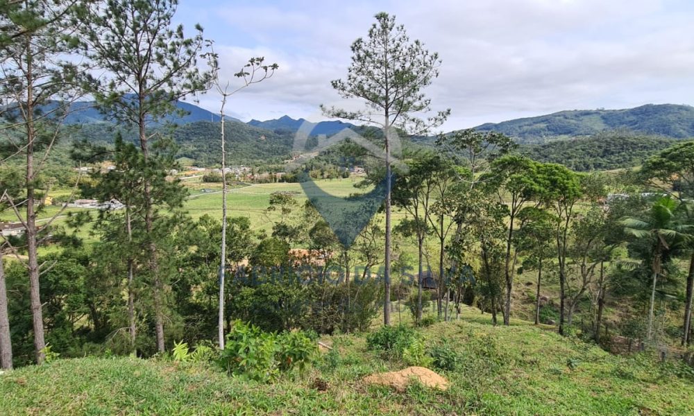 WhatsApp Image 2026-02-05 at 10.13.01 (2)