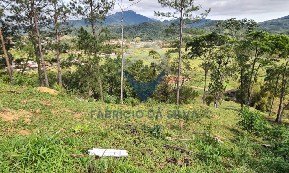 WhatsApp Image 2026-02-05 at 10.13.01