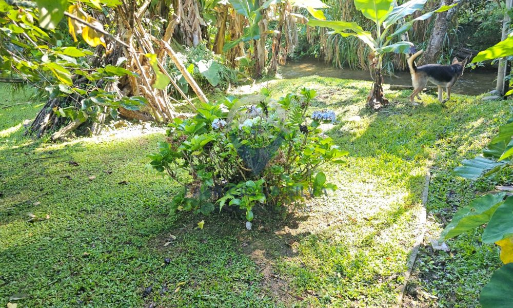 WhatsApp Image 2026-02-05 at 13.43.05