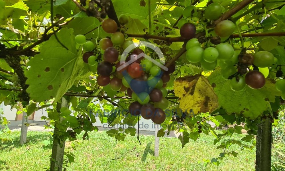 WhatsApp Image 2026-02-05 at 17.23.37 (1)