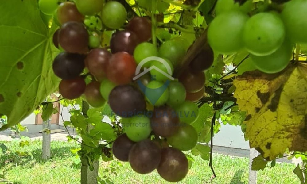 WhatsApp Image 2026-02-05 at 17.23.39 (1)