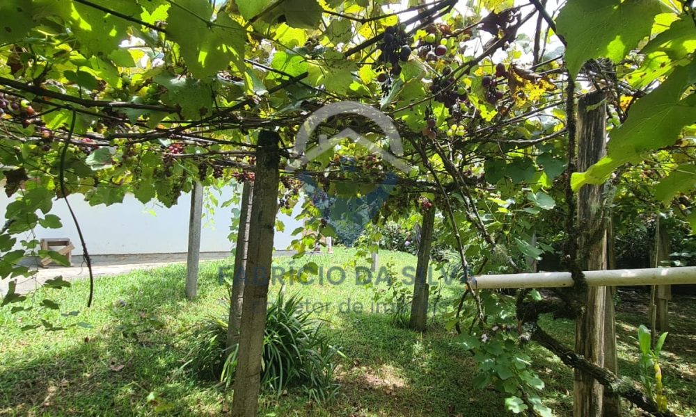 WhatsApp Image 2026-02-05 at 17.23.44 (2)