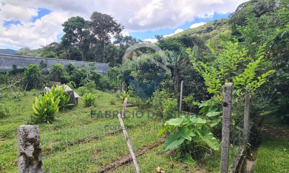 WhatsApp Image 2026-02-05 at 17.23.45 (1)