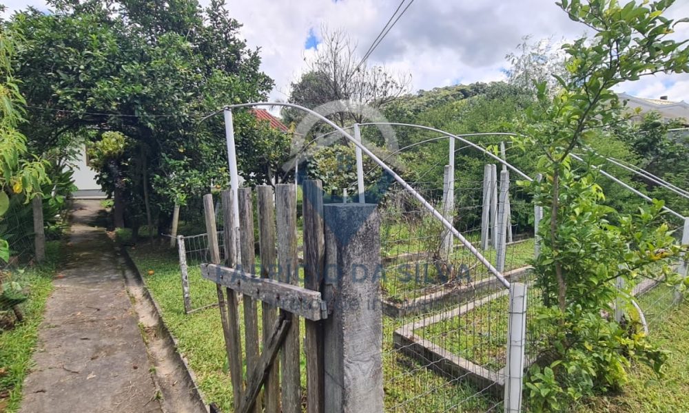 WhatsApp Image 2026-02-05 at 17.23.45