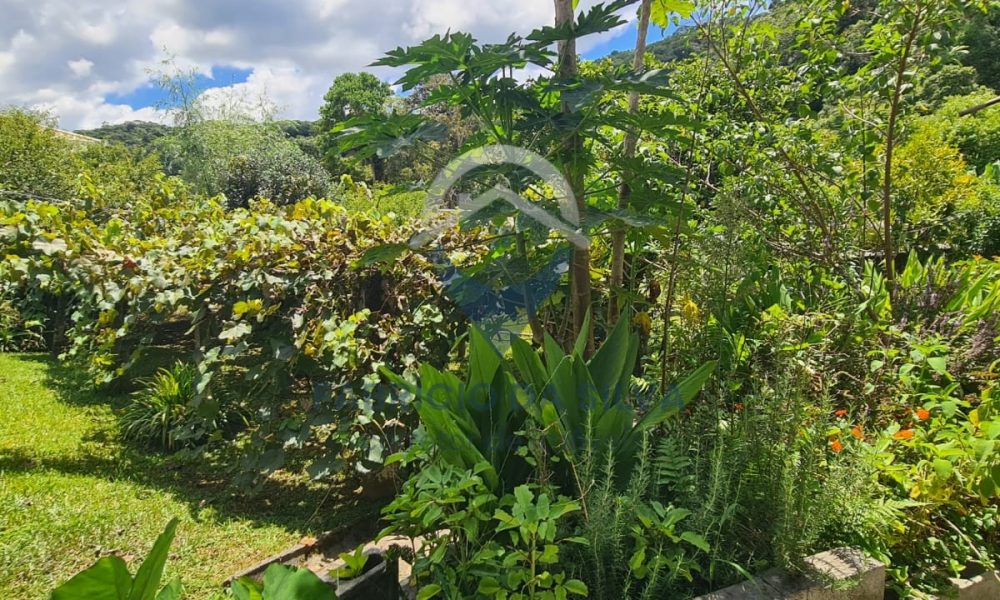 WhatsApp Image 2026-02-05 at 17.23.46